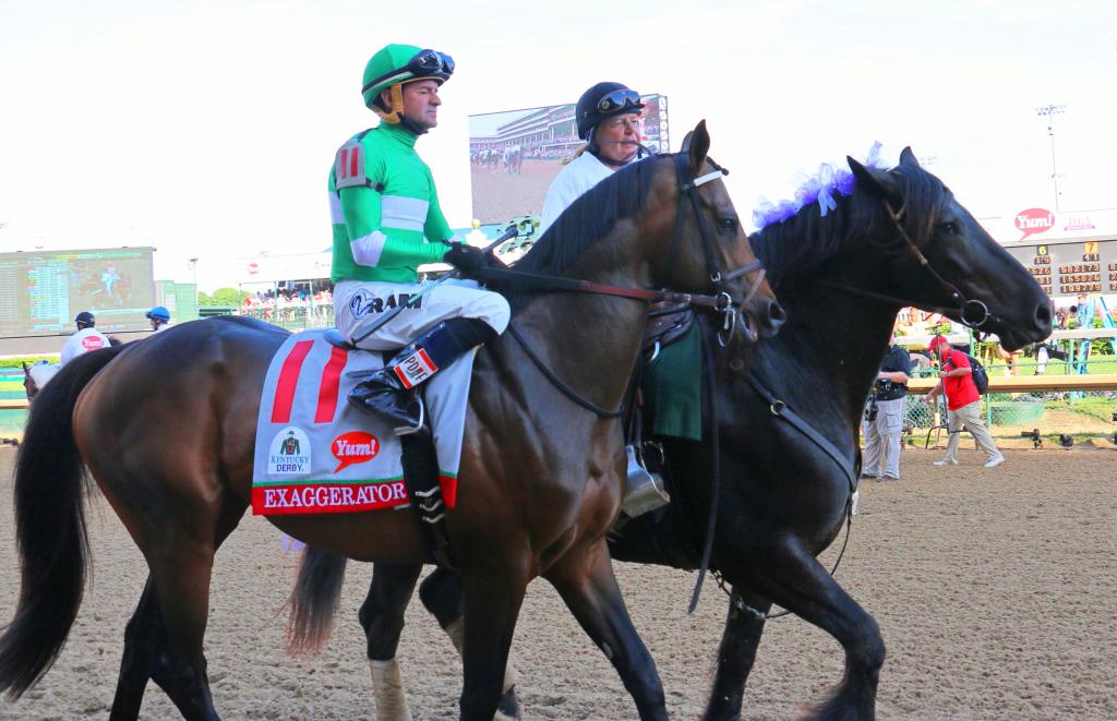 Harley with Exaggerator. (Julie June Stewart photo)